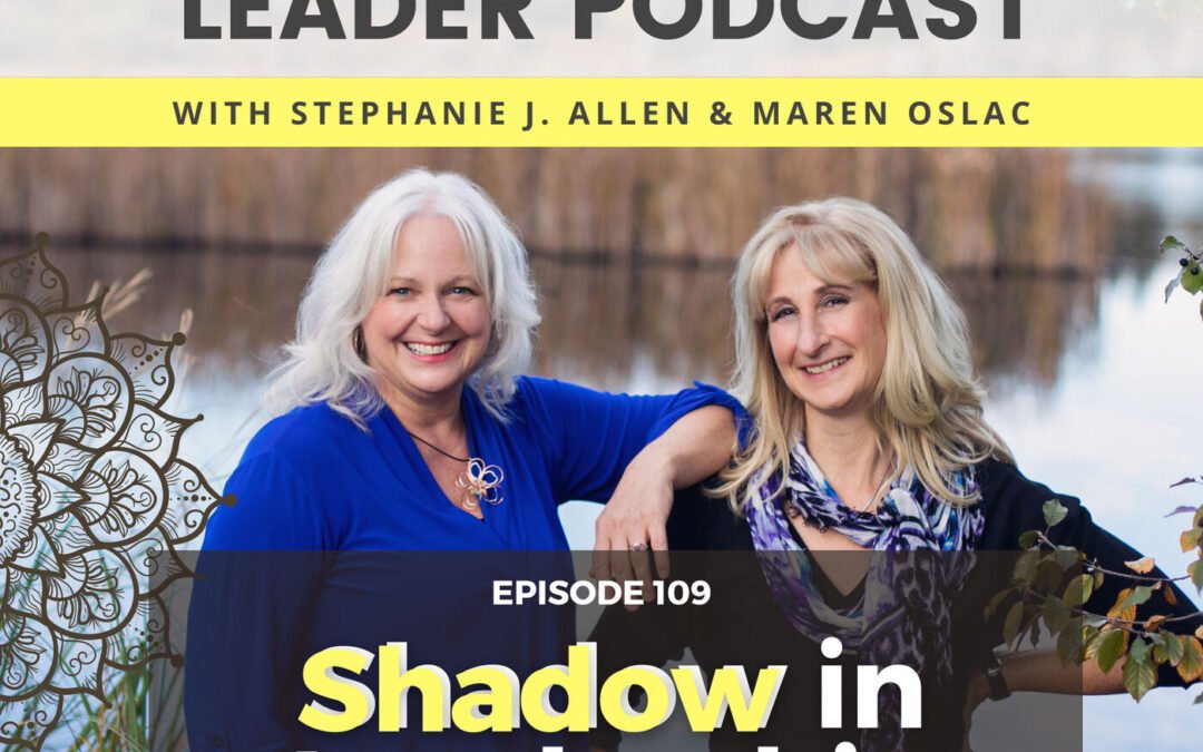 109: Shadow in Leadership
